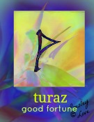 turaz rune symbol of good fortune turaz rune symbol of good fortune