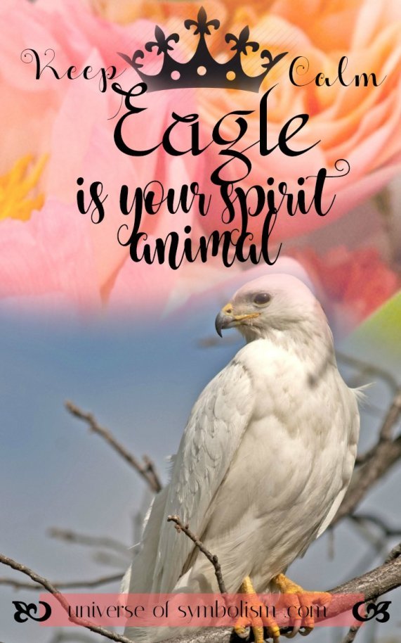 Eagle Symbolism Eagle Meaning Eagle Spirit Animal Guidance