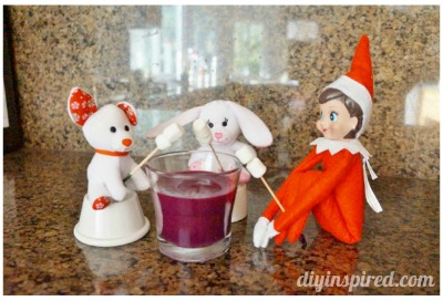 roasting marshmallows roasting marshmallows