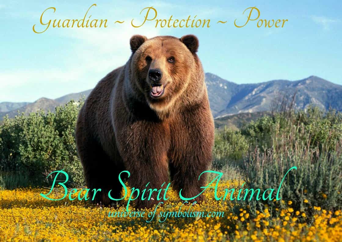 Bear Symbolism & Bear Meaning Bear Spirit Animal Myth Legend & Lore