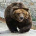 symbolic meaning of bear