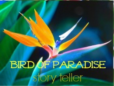 bird of paradise flower oracle