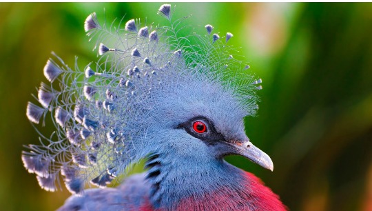 Bird Symbolism & Bird Meanings List | Spiritual Meaning of Birds Bird Symbolism & Bird Meanings List | Spiritual Meaning of Birds