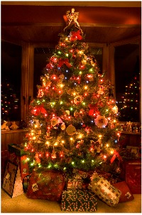 christmas tree - christmas symbol