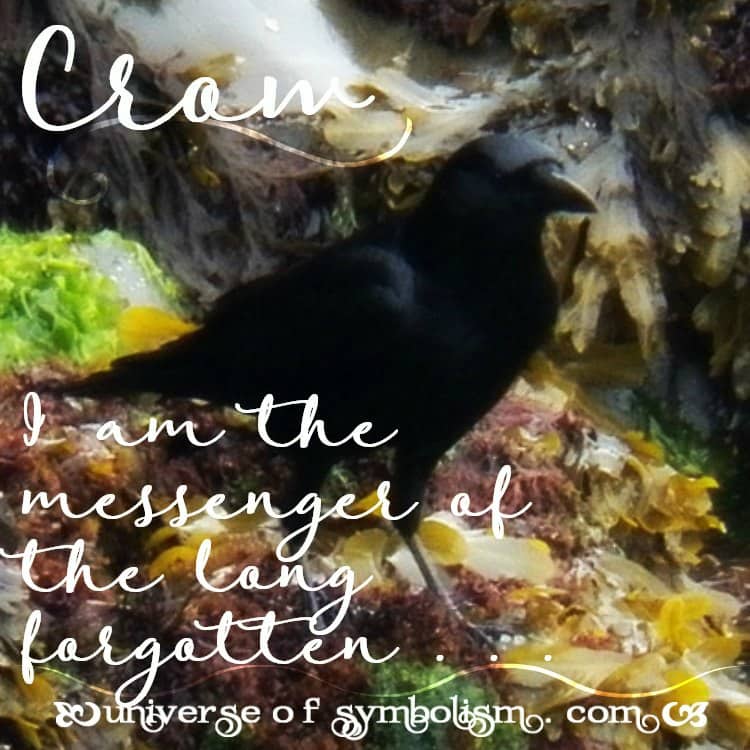 Symbolic Crow Meaning | Spirit, Power Totem Animal Messenger the Crow Symbolic Crow Meaning | Spirit, Power Totem Animal Messenger the Crow