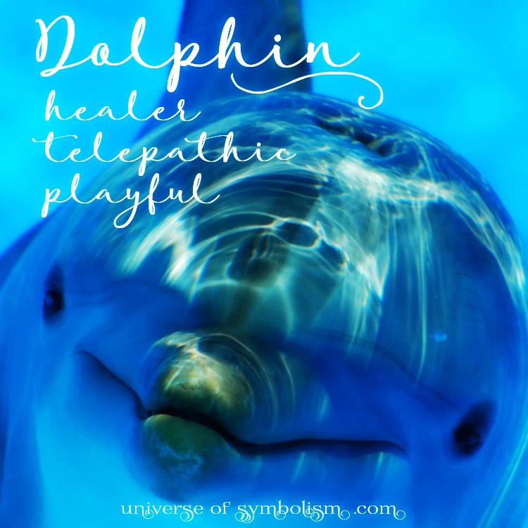 Dolphin Symbolism & Dolphin Meaning | Dolphin Signs, Symbols & Totems Dolphin Symbolism & Dolphin Meaning | Dolphin Signs, Symbols & Totems