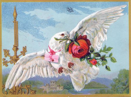 Vintage Dove Tattoo Idea