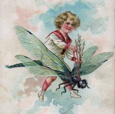 Fantasy Tattoo Girl riding Dragonfly Fantasy Tattoo Girl riding Dragonfly