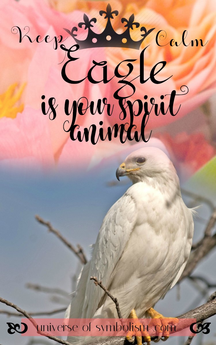 Eagle Symbolism & Eagle Meaning | Eagle Spirit Animal Guidance
