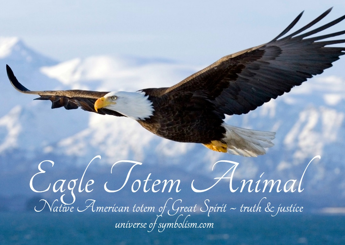 Eagle Symbolism & Eagle Meaning | Eagle Spirit Animal Guidance