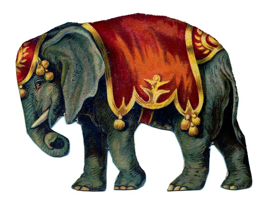 Elephant Tattoo Symbolism and Cultural Significance - wide 2