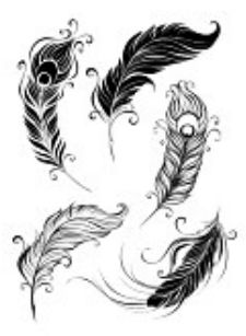 feather tattoo ideas tattoo symbolism u0026 designs feather tattoo ideas tattoo symbolism u0026 designs