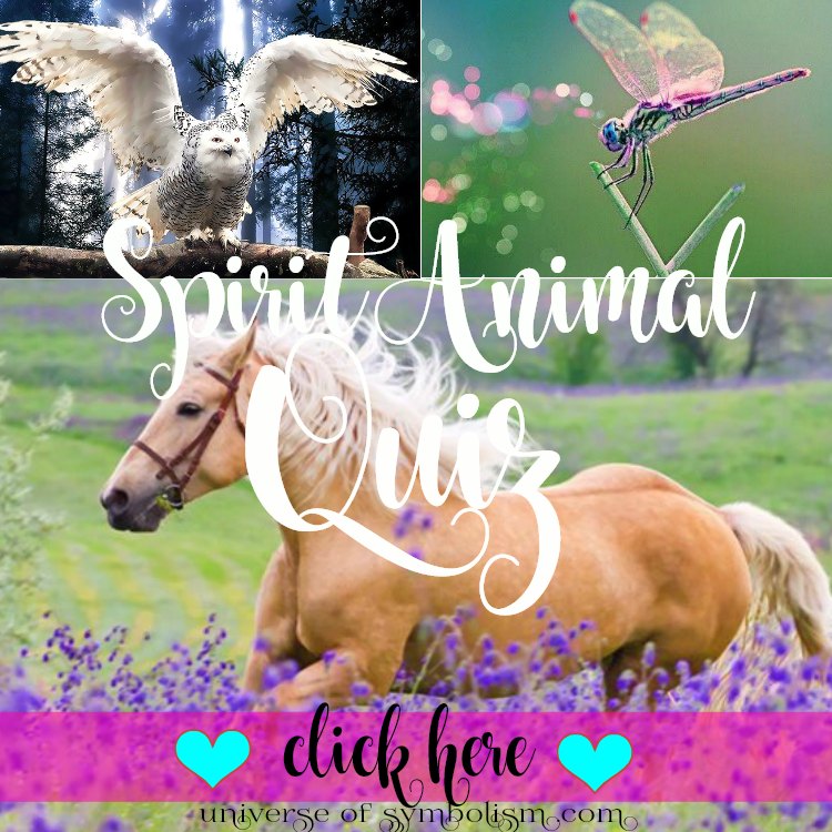 Spirit Animal Quiz - Universum der Symbolik / Was ist mein Spirit Animal Quiz