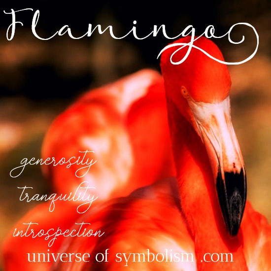Flamingo Symbolism & Meaning | Flamingo Spirit Animal Totem Powers Flamingo Symbolism & Meaning | Flamingo Spirit Animal Totem Powers