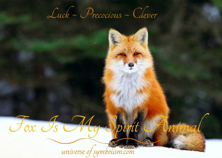 Symbolic Meaning of Fox | 10 Spiritual Meanings of Fox