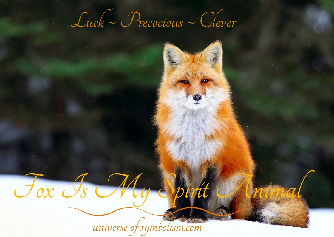 Symbolic Meaning of Fox | Spirit, Totem & Power Animal Messengers1120 x 795