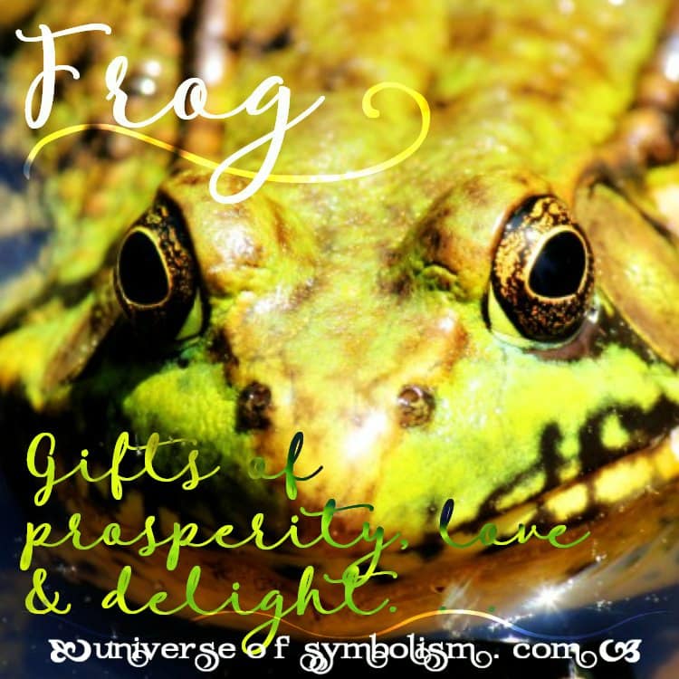 Frog Symbolism | Frog Meaning | Frog Spirit Animal
