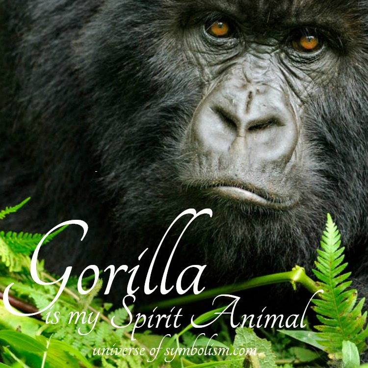 Gorilla Symbolism & Meaning | Gorilla Totem & Spirit Animal Powers Gorilla Symbolism & Meaning | Gorilla Totem & Spirit Animal Powers