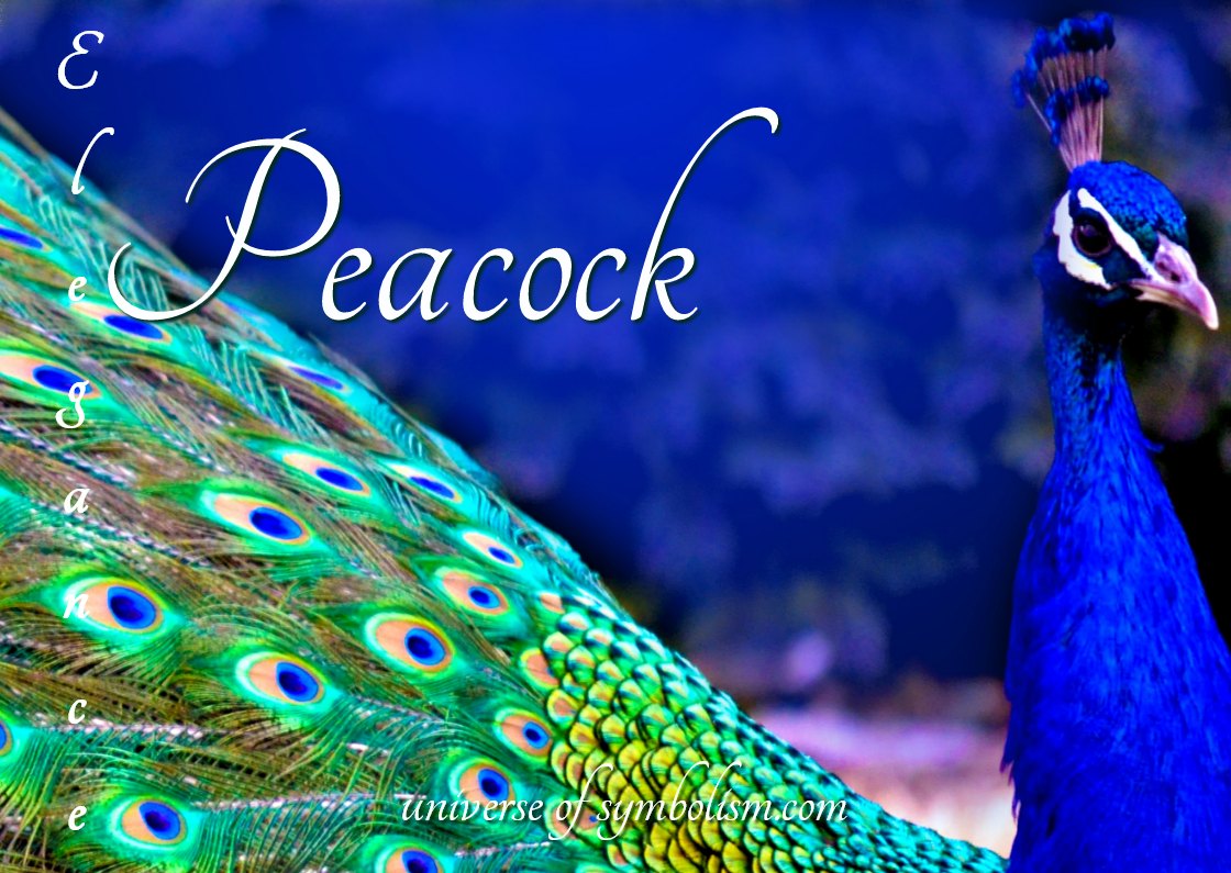 The meaning and symbolism of the peacock feather in peacock jewellery