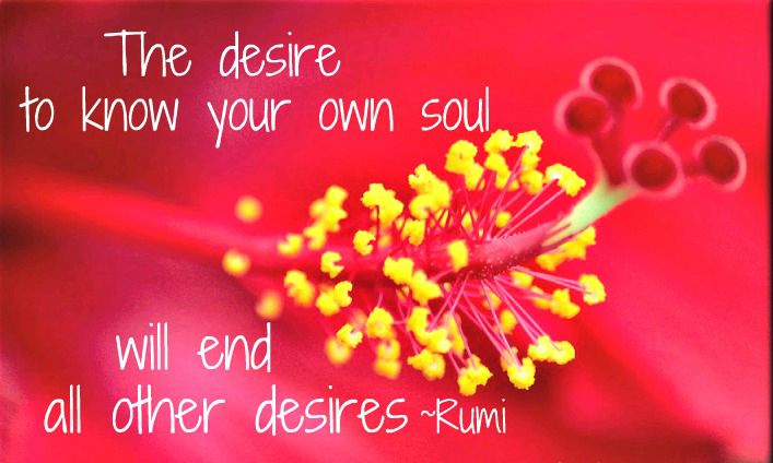 Signs of Ascension ~ the desire to know your own soul wil end all other desires "Rumi"