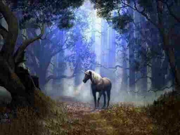 Unicorn Symbolism | Unicorn Meaning & Mythology Unicorn Symbolism | Unicorn Meaning & Mythology