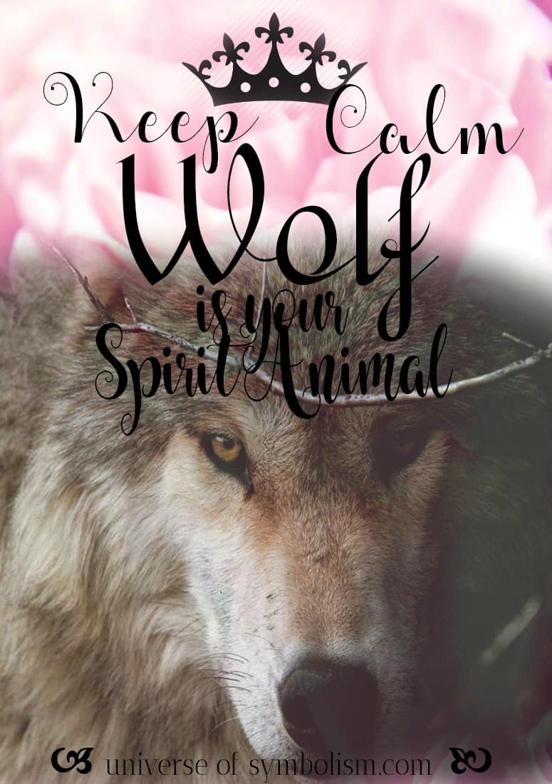 Wolf Symbolism & Wolf Meaning Wolf Spirit Animal Healing Medicine