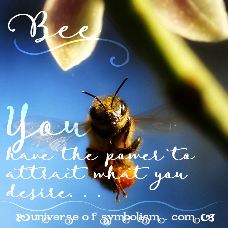 Bee Symbolism & Bee Meaning Bee Spirit & Totem Animal Guidance