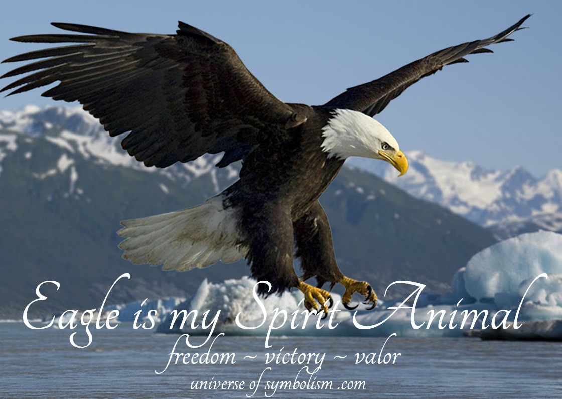 Eagle Symbolism & Eagle Meaning Eagle Spirit Animal Guidance
