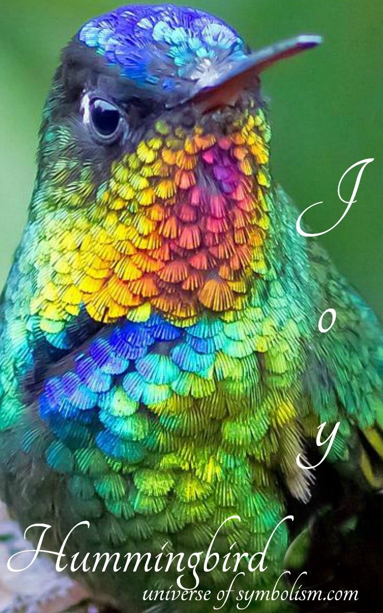 Hummingbird Meaning Hummingbird Symbolism & Spiritual