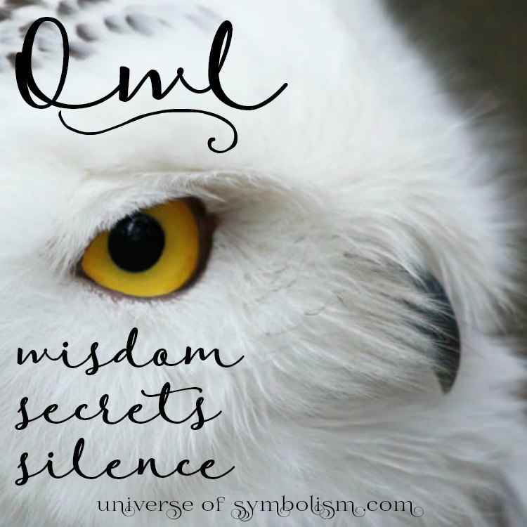 Symbolic Owl Meaning Owl Spirit & Totem Animal Guidance
